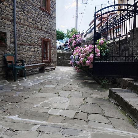 Arka Metsovo Ξενοδοχείο Εξωτερικό φωτογραφία