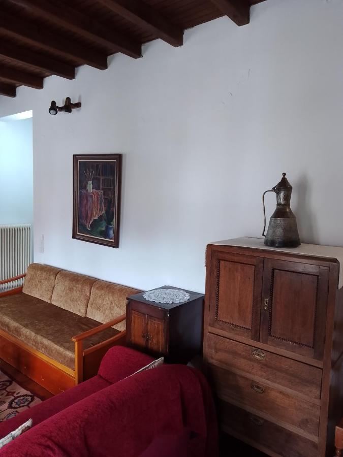 Arka Metsovo Ξενοδοχείο Εξωτερικό φωτογραφία
