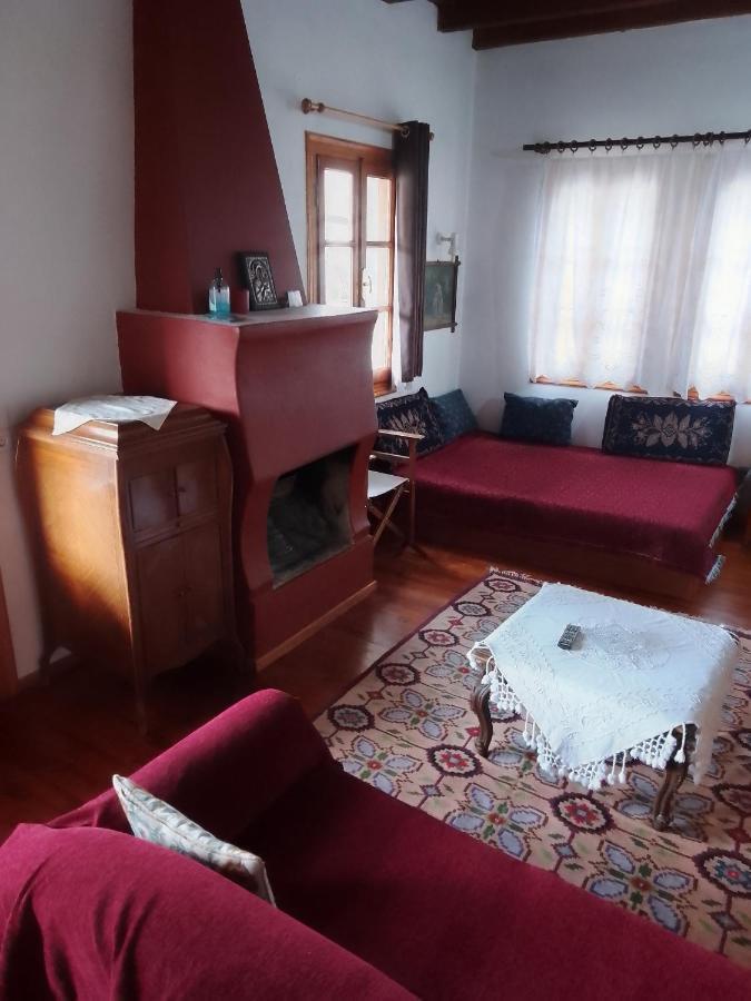 Arka Metsovo Ξενοδοχείο Εξωτερικό φωτογραφία