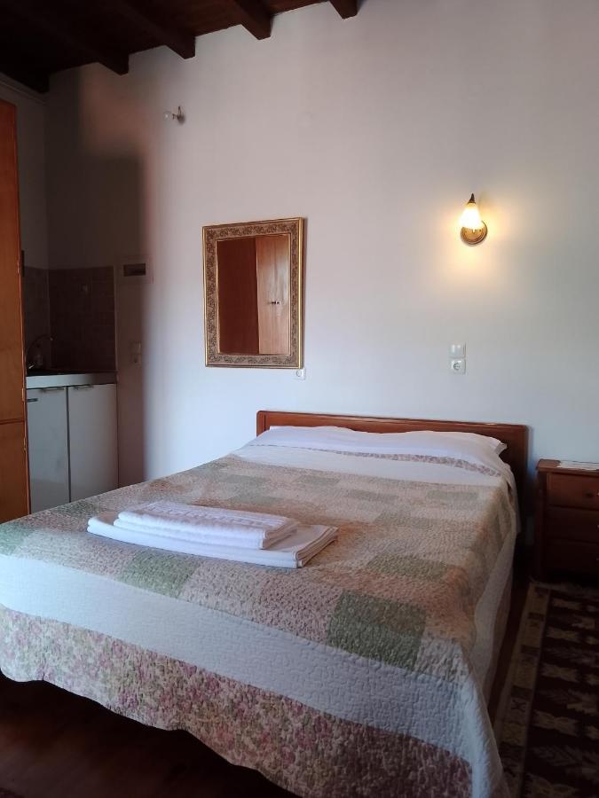 Arka Metsovo Ξενοδοχείο Εξωτερικό φωτογραφία