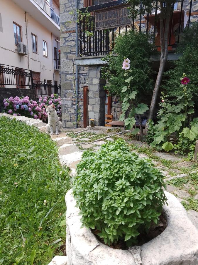 Arka Metsovo Ξενοδοχείο Εξωτερικό φωτογραφία
