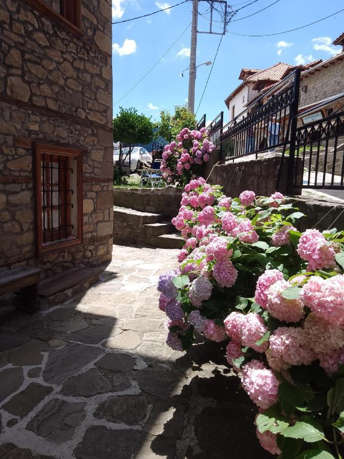 Arka Metsovo Ξενοδοχείο Εξωτερικό φωτογραφία
