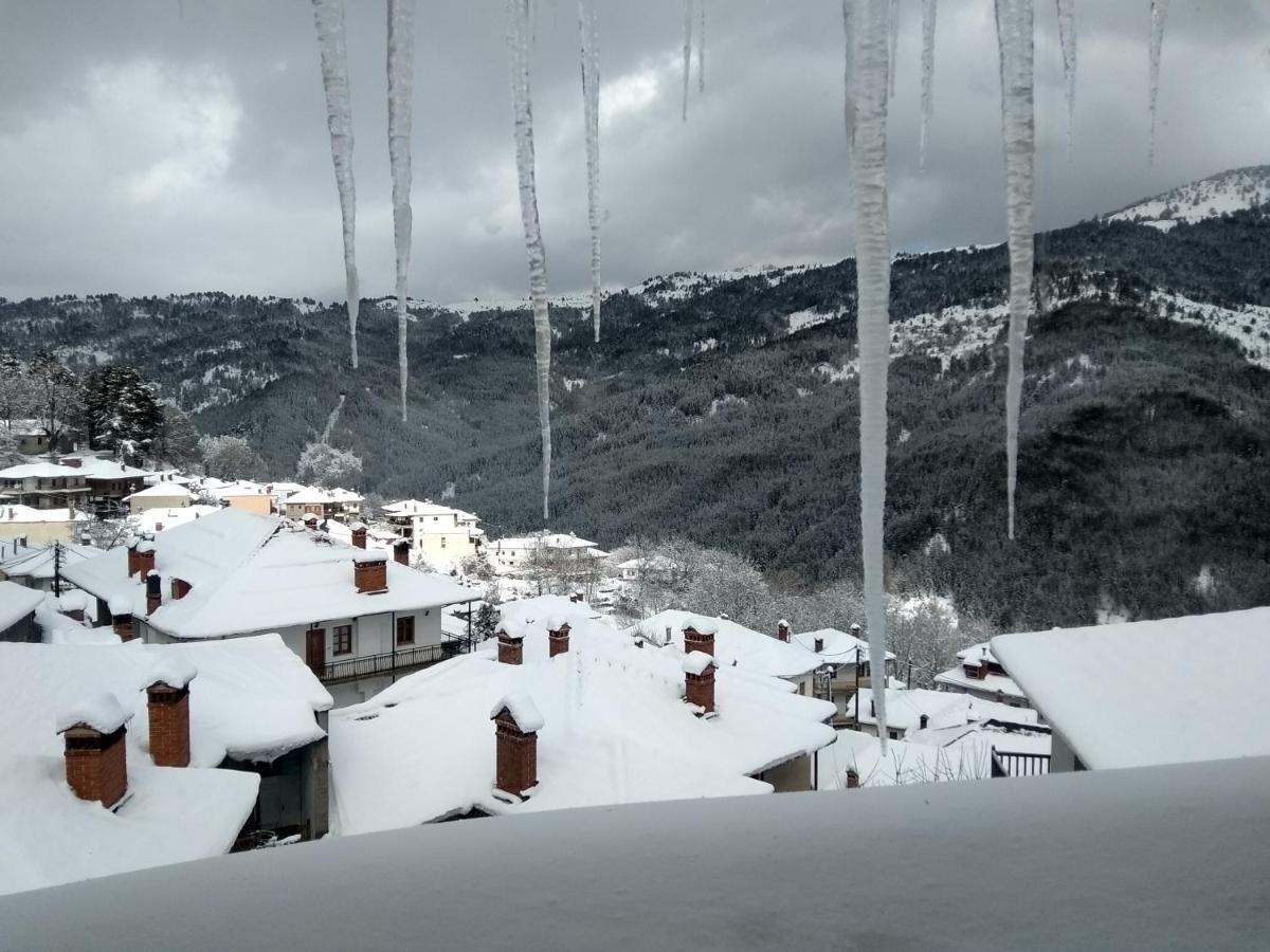 Arka Metsovo Ξενοδοχείο Εξωτερικό φωτογραφία