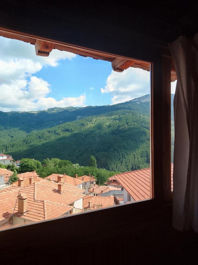 Arka Metsovo Ξενοδοχείο Εξωτερικό φωτογραφία