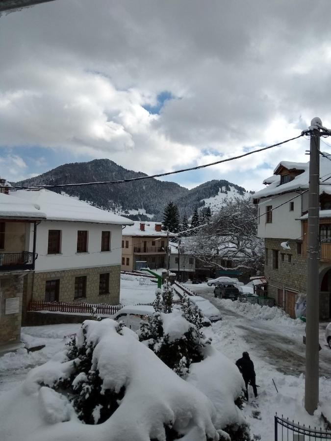 Arka Metsovo Ξενοδοχείο Εξωτερικό φωτογραφία