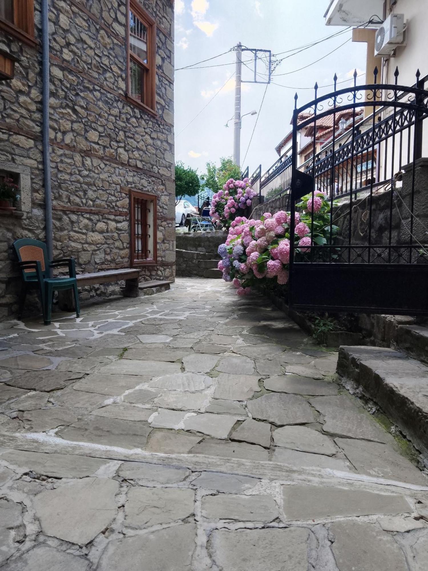 Arka Metsovo Ξενοδοχείο Εξωτερικό φωτογραφία