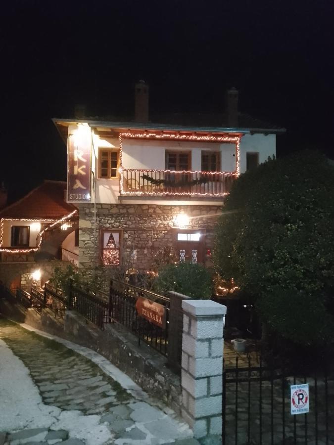 Arka Metsovo Ξενοδοχείο Εξωτερικό φωτογραφία